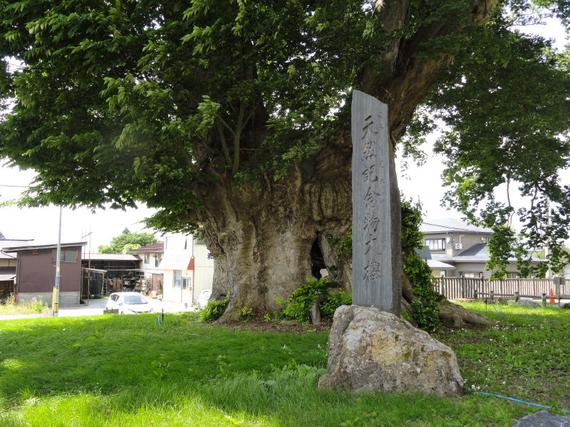 img0007.jpg