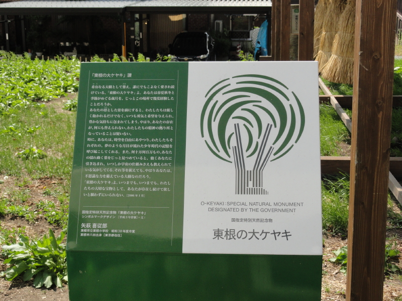 img0008.jpg