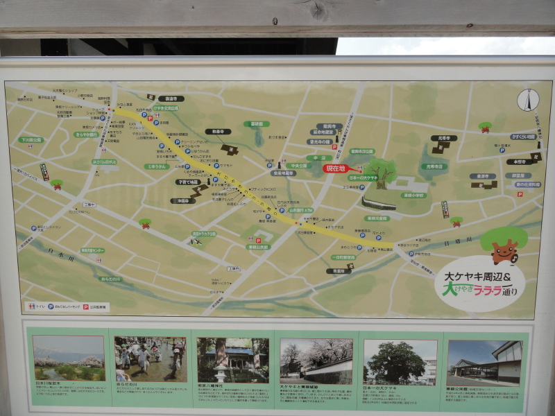img0021.jpg