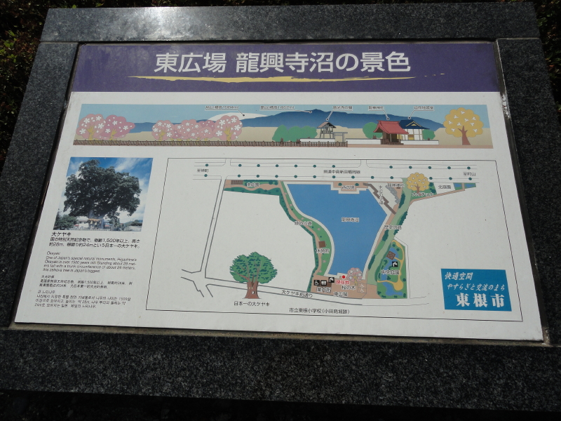 img0025.jpg