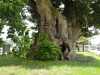img0002.jpg