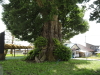 img0003.jpg