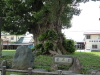 img0004.jpg
