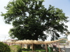 img0006.jpg