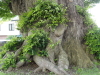 img0011.jpg
