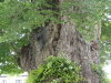 img0012.jpg