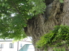 img0013.jpg