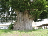 img0015.jpg