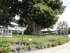 img0016.jpg