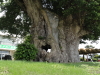 img0017.jpg
