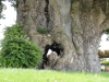 img0019.jpg