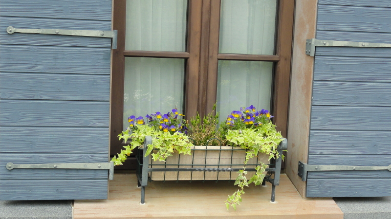 img0018.jpg
