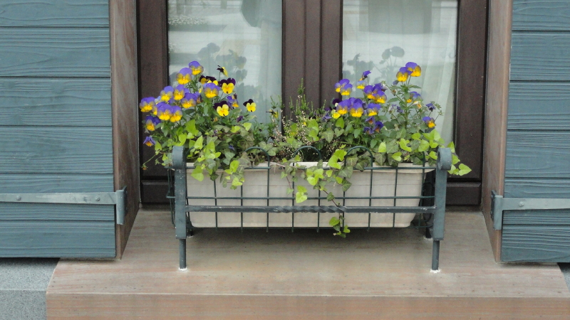 img0020.jpg