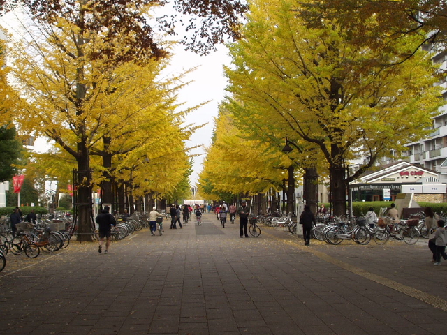 img0001.jpg