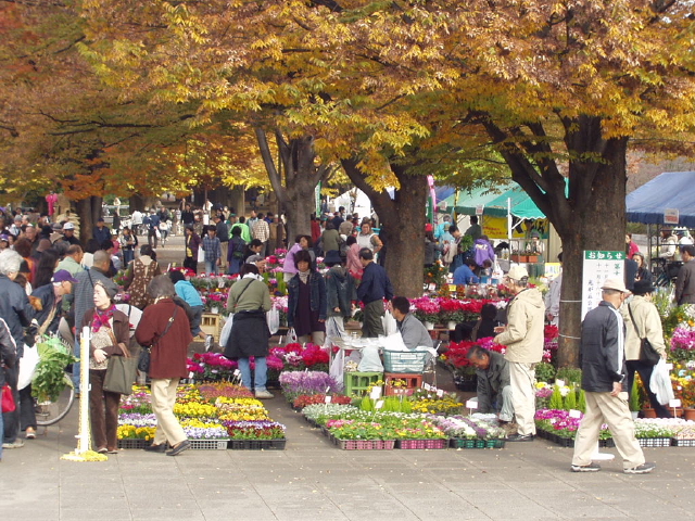 img0003.jpg
