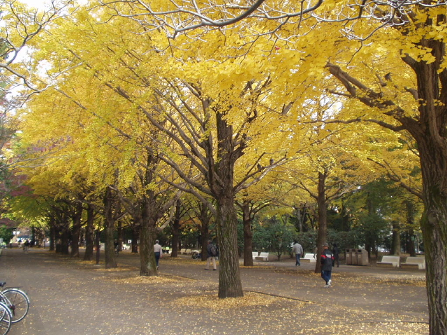 img0006.jpg