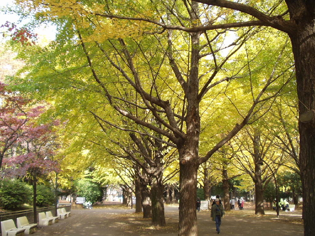 img0007.jpg
