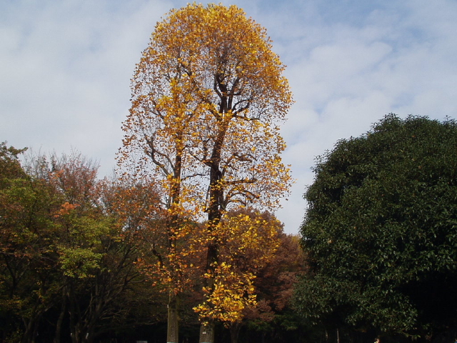 img0008.jpg