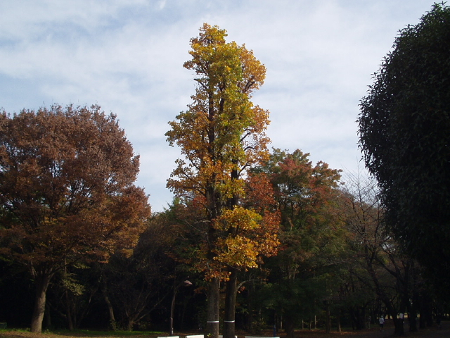 img0009.jpg