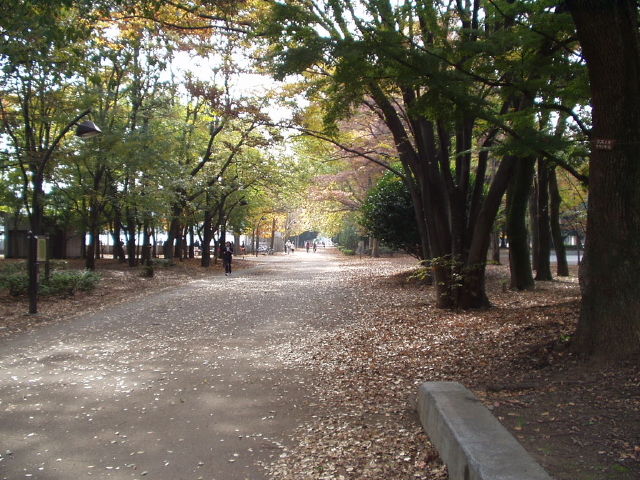 img0012.jpg
