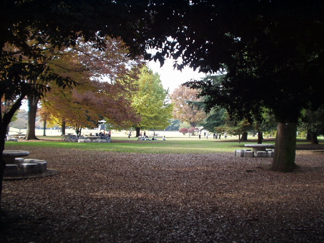 img0013.jpg