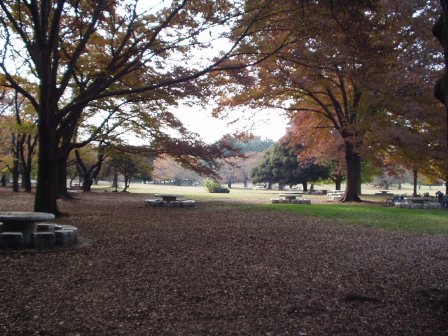img0014.jpg