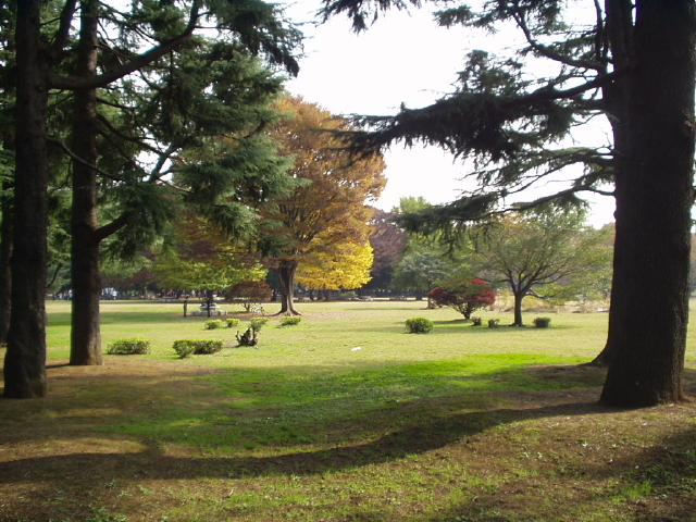 img0017.jpg