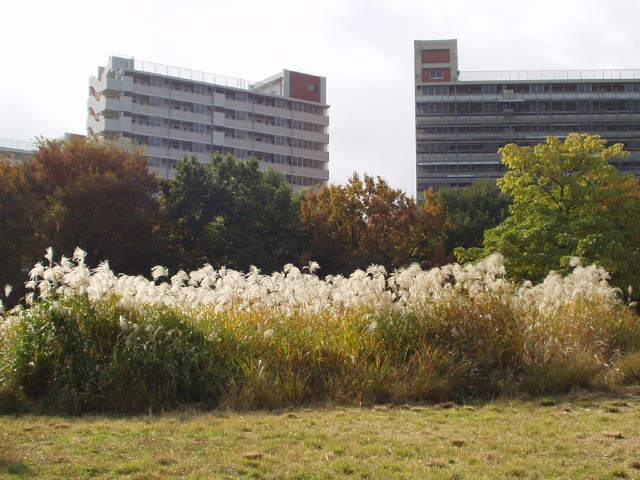 img0019.jpg