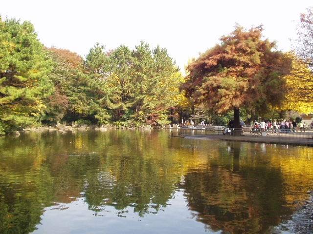 img0020.jpg