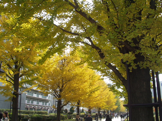 img0021.jpg