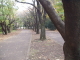 img0010.jpg