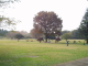 img0015.jpg