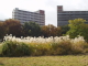 img0019.jpg