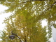 img0022.jpg