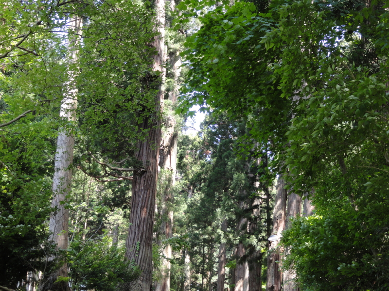 img0002.jpg