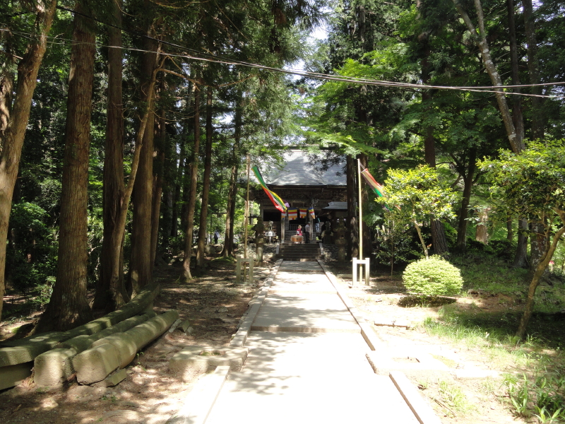img0006.jpg