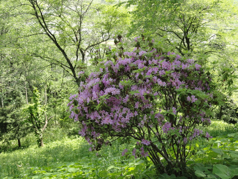 img0024.jpg