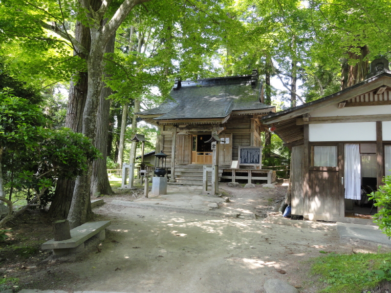 img0037.jpg