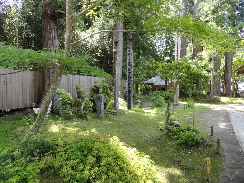 img0051.jpg