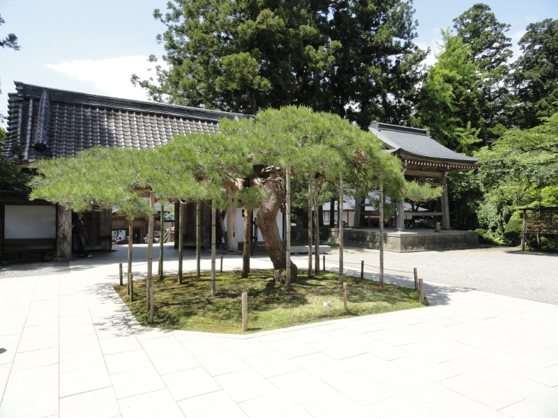 img0060.jpg