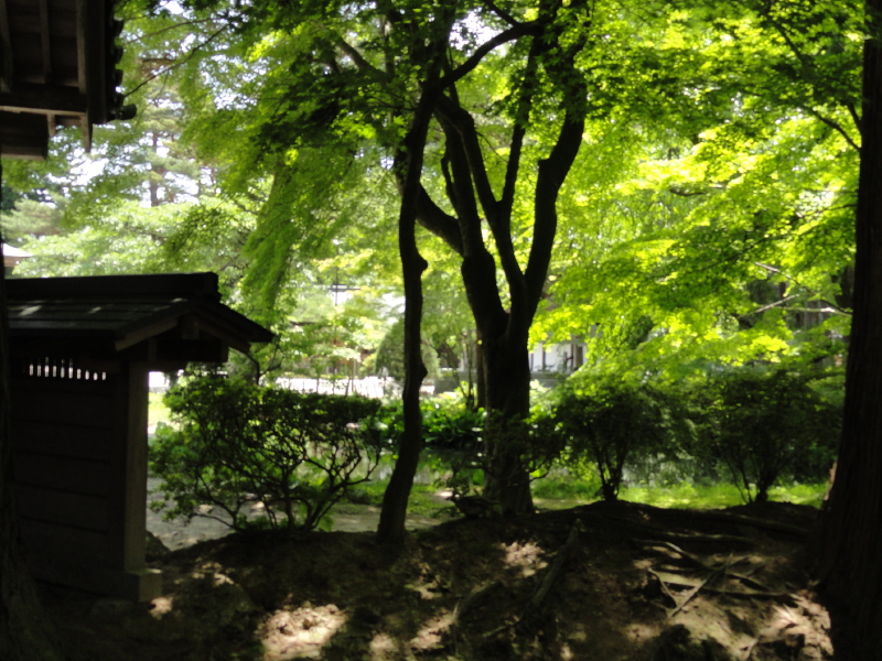 img0077.jpg