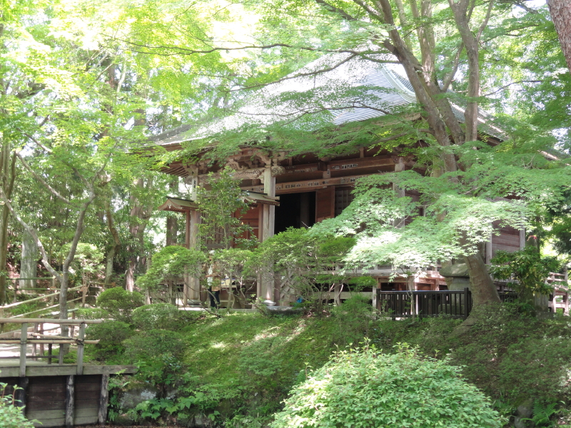 img0078.jpg