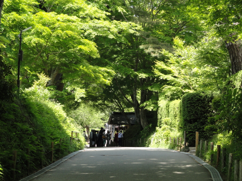 img0081.jpg
