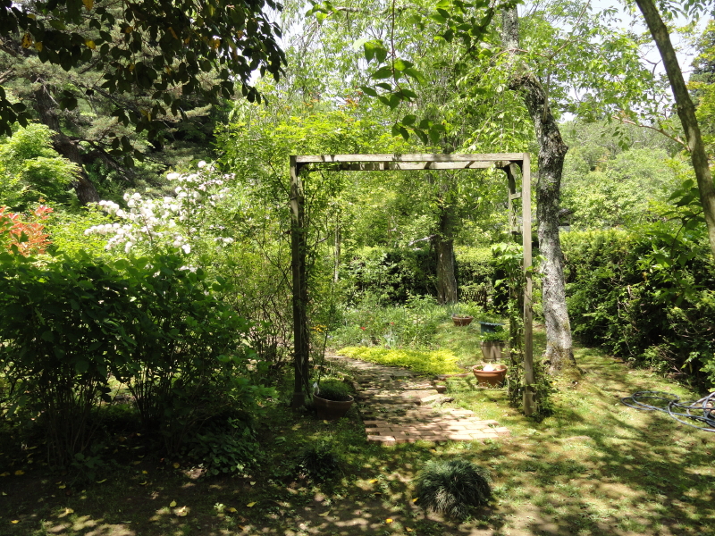 img0084.jpg