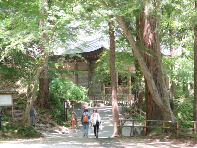 img0105.jpg