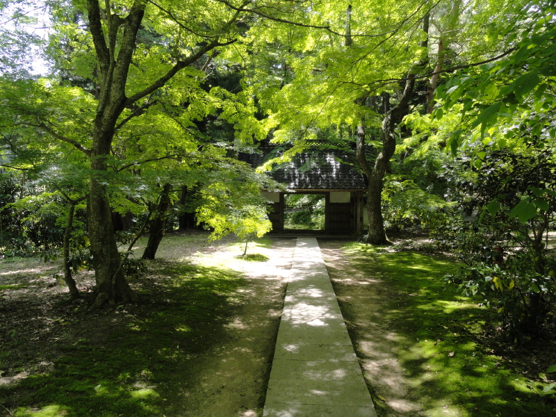 img0126.jpg