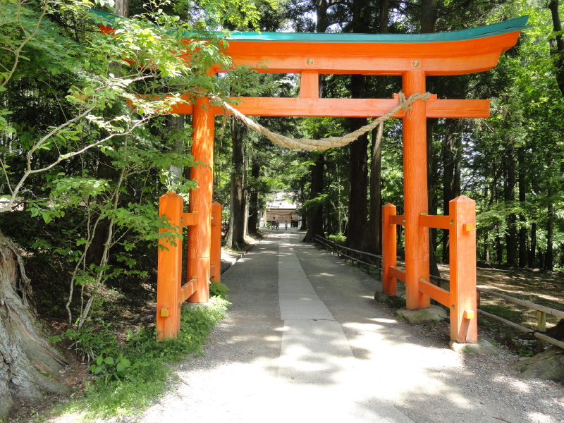 img0135.jpg