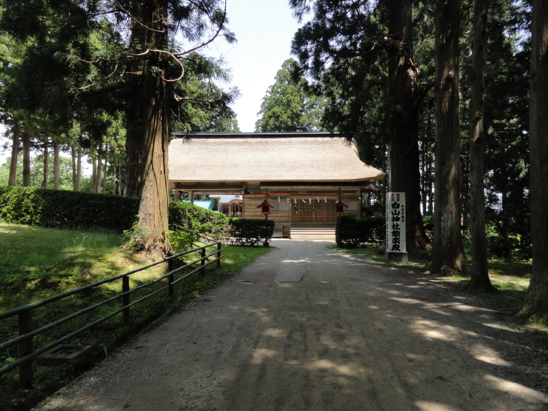 img0138.jpg