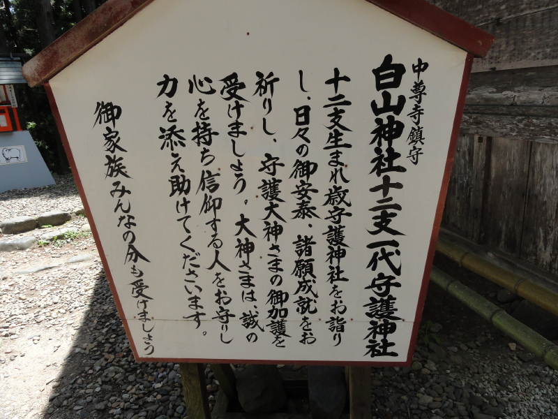 img0155.jpg