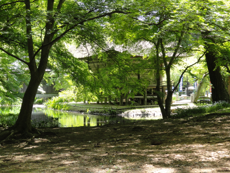 img0164.jpg